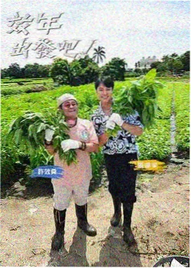 音乐现场日志 成全电视电影网综艺封面